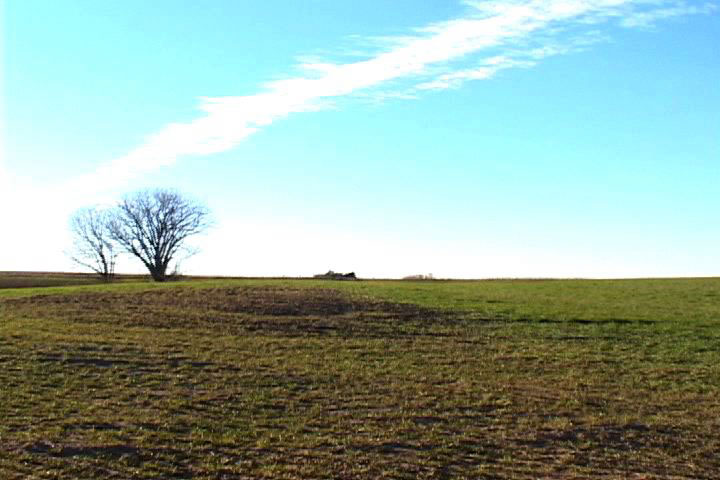 [photograph:
Field Near Dodge City, photograph by Dave Gunn, Lawrence, KS; copyright 2004. Used with permission.]