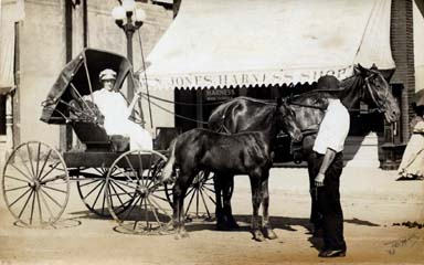 [Photo: Dorothy's Aunt Lizzie, circa 1917.  
Sometimes she took Dorothy with her 'to town' (Osage City).]